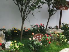 -濮园 · 四合院餐厅