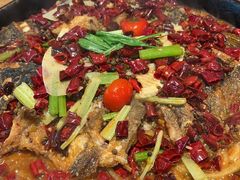 -老板恋上鱼(恒隆广场店)