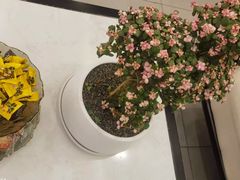 -正清和·推拿养生(二七广场店)