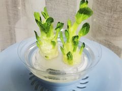 -汤城小厨•粤菜•靓汤(西直门凯德MALL店)