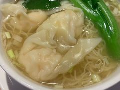 -南枝记