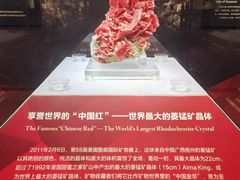 -湖南省地质博物馆