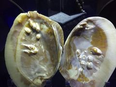 -湖南省地质博物馆