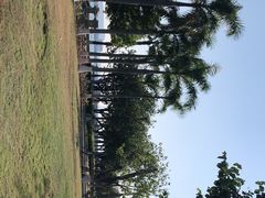 -集美鳌园景区