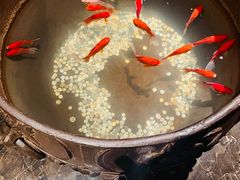 -鼎膳常火锅(华阳店)