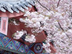 -石岛赤山风景区