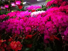 -三旗百汇商品城