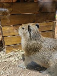 -Zoolung Zoolung动物主题公园(海信广场店)