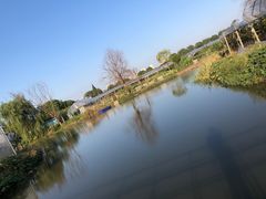 -马陆小张葡萄园农家乐