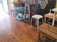 -志龙皇冠吃货椰子铺