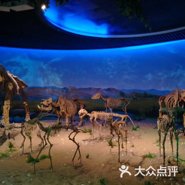 安徽省地质博物馆停车场