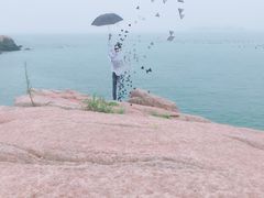 -东极岛景区