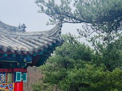 -王顺山国家森林公园