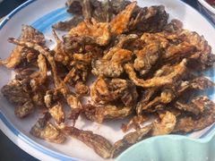 -都江堰石锅鱼