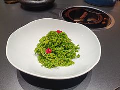 夜来香-金狮麟·宋宴