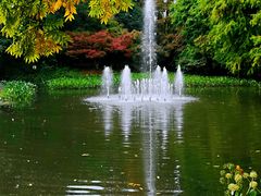 -上海共青森林公园