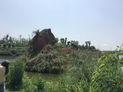 -三圣花乡旅游区