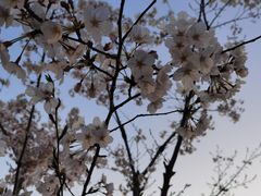 -映月湖中央公园