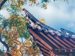 -深圳国际园林花卉博览园