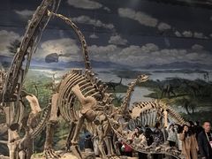 -自贡恐龙博物馆