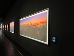 -罗红摄影艺术馆