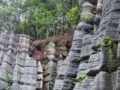 -梭布垭石林景区