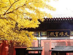 -红螺寺