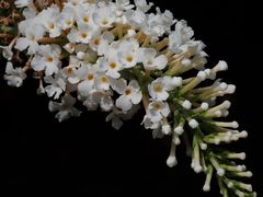 -苏州河梦清园环保主题公园