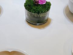 -眉州东坡(博雅店)
