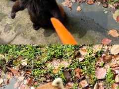 -合肥野生动物园