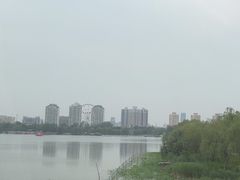 -鱼翅楼·津派砂锅鱼翅(水上公园店)