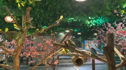 -酷嗒动物文化乐园(cutezoo西溪乐天城店)