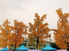 -四川大学(江安校区)