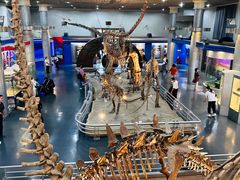 -国家自然博物馆