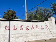 -红山国家森林公园