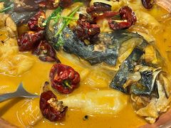 段氏绝味鱼头-柿合缘新京菜(国金中心商场店)