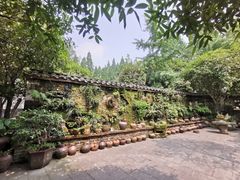 -青城甲(青城山店)