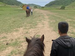 -关山草原