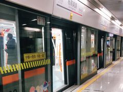 -杨高南路(地铁站)
