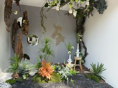 -上海鲜花港