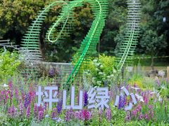 -莲花山公园