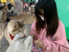 -Husky Go! 哈士奇体验馆·宠物咖啡厅狗咖
