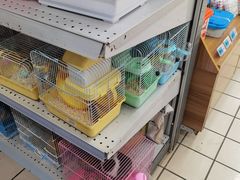 -大润发(康桥店)