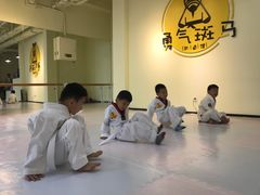 -勇气斑马·巴西柔术&跆拳道(浦东三林店)