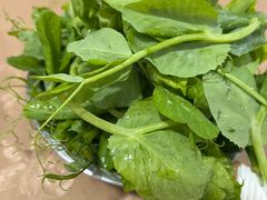 -黑竹沟新场牛肉火锅