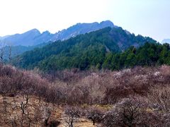 -白河堡水库