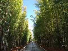 -蝴蝶泉公园