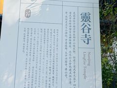 -灵谷景区