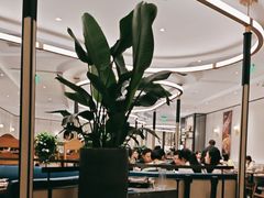 -港丽餐厅(正大店)