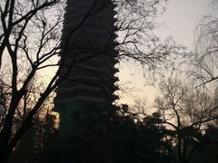 -博雅塔